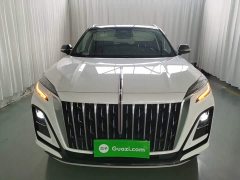 Hongqi HS3 2.0T four-wheel drive promising version - фото 3