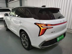Hongqi HS3 2.0T four-wheel drive promising version - фото 5