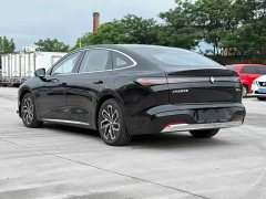 Baojun Xiangjing 2025 pure electric 600km special car version - фото 7