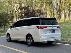 Buick GL8 ES Lu Zun Exclusive - фото 4