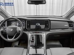 GAC Trumpchi M8 Master Series 390T Premium Edition - фото 13