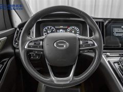 GAC Trumpchi M8 Master Series 390T Premium Edition - фото 18