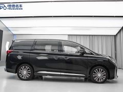 GAC Trumpchi M8 Master Series 390T Premium Edition - фото 4