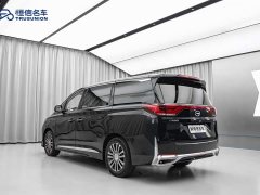 GAC Trumpchi M8 Master Series 390T Premium Edition - фото 7