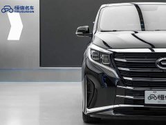 GAC Trumpchi M8 Master Series 390T Premium Edition - фото 8