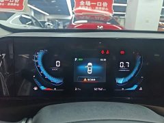 Ford EADO PLUS Blue Whale NE 1.4T GDI DCT Premium Type - фото 12