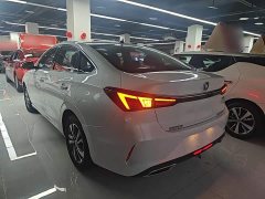 Ford EADO PLUS Blue Whale NE 1.4T GDI DCT Premium Type - фото 5