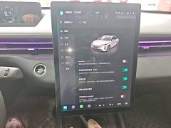 Changan Yida Blue Whale NE 1.5T GDI DCT Exclusive Type - фото 13