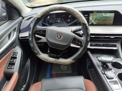 Ford EADO 2023 Enjoy Edition PLUS Blue Whale NE 1.4T GDI DCT Premium Edition - фото 11