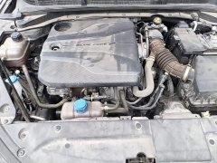 Ford EADO 2023 Enjoy Edition PLUS Blue Whale NE 1.4T GDI DCT Premium Edition - фото 20