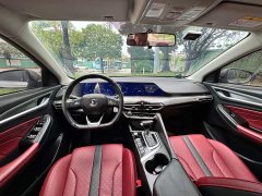 Ford EADO PLUS Blue Whale NE 1.4T GDI DCT Premium Type - фото 4