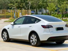 Tesla Model Y standard range rear-wheel drive version - фото 8
