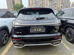 Hongqi HS5 2023 2.0T Qixiang Pro version - фото 18