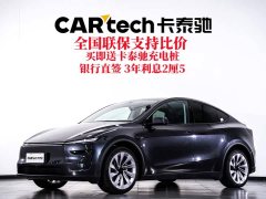 Tesla Model Y rear-wheel drive version - фото 1