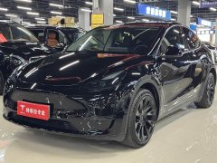 Tesla Model Y long-range all-wheel drive version - фото 1