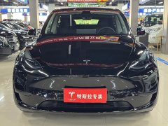Tesla Model Y long-range all-wheel drive version - фото 2