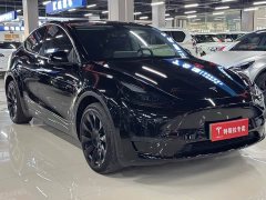 Tesla Model Y long-range all-wheel drive version - фото 3