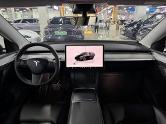 Tesla Model Y long-range all-wheel drive version - фото 5