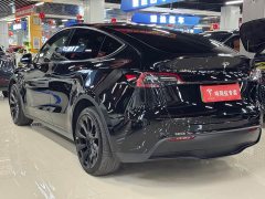 Tesla Model Y long-range all-wheel drive version - фото 7