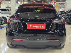 Tesla Model Y long-range all-wheel drive version - фото 8