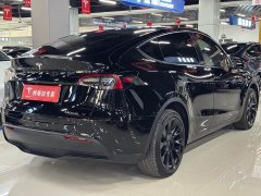 Tesla Model Y long-range all-wheel drive version - фото 9