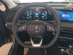 Ford EADO PLUS Blue Whale NE 1.4T GDI DCT Premium Type - фото 11