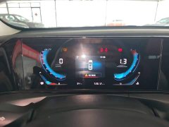 Ford EADO PLUS Blue Whale NE 1.4T GDI DCT Premium Type - фото 12