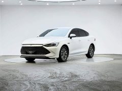 BYD Qin PLUS Honor Edition DM-i 55KM Leading Type - фото 1