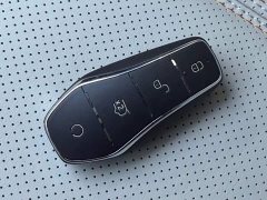 BYD Qin PLUS Honor Edition DM-i 55KM Leading Type - фото 17