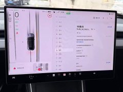 Tesla Model Y long-range all-wheel drive version - фото 12