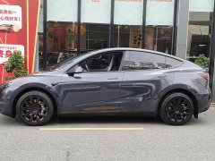 Tesla Model Y long-range all-wheel drive version - фото 3
