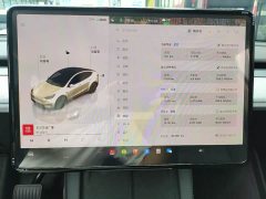 Tesla Model Y long-range all-wheel drive version - фото 9