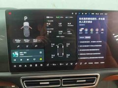 Li Auto Ideal L9 2022 Max - фото 4