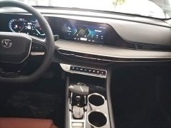 Ford Eado PLUS 1.4T dual-clutch high-energy version - фото 13