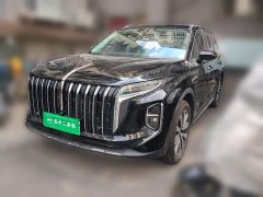 Hongqi HS7 PHEV 2.0T PHEV four-wheel drive 2 million units commemorative edition 6 seats - фото 1