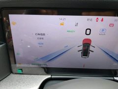 Hongqi HS7 PHEV 2.0T PHEV four-wheel drive 2 million units commemorative edition 6 seats - фото 13