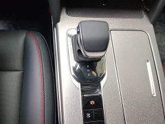 Hongqi HS7 PHEV 2.0T PHEV four-wheel drive 2 million units commemorative edition 6 seats - фото 15