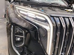 Hongqi HS7 PHEV 2.0T PHEV four-wheel drive 2 million units commemorative edition 6 seats - фото 7