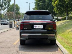Hongqi Golden Sunflower Guoyao 2022 4.0T Monarch Flagship Edition 4 seats - фото 5