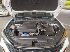 Ford EADO Enjoy Edition PLUS Blue Whale NE 1.4T GDI DCT Premium Edition - фото 20