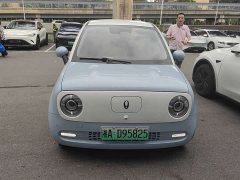 Ora Euler Black Cat 351km comfort type ternary lithium - фото 2