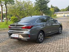 Ford EADO PLUS Blue Whale NE 1.4T GDI DCT Premium Type - фото 12
