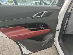 Hongqi HS3 PHEV 125km Jinwei PLUS 2 million commemorative edition - фото 10