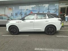 Hongqi HS3 PHEV 125km Jinwei PLUS 2 million commemorative edition - фото 7