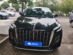 Hongqi HS3 PHEV 2024 115km Jinwei Edition - фото 2