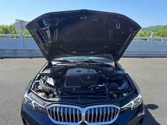 BMW 3 Series 320Li M Sports Package - фото 19