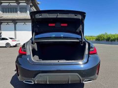 BMW 3 Series 320Li M Sports Package - фото 20