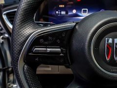 Buick GL8 New Energy Lu Shang Exclusive Edition - фото 14