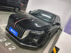 Hongqi H5 2.0T Automatic Zhilianqichang Edition - фото 1