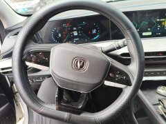 Ford EADO 2023 Enjoy Edition PLUS Blue Whale NE 1.4T GDI DCT Premium Edition - фото 3